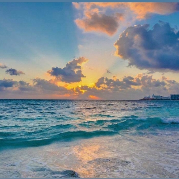 Meet your Posher💜 - Picture 4 of 9